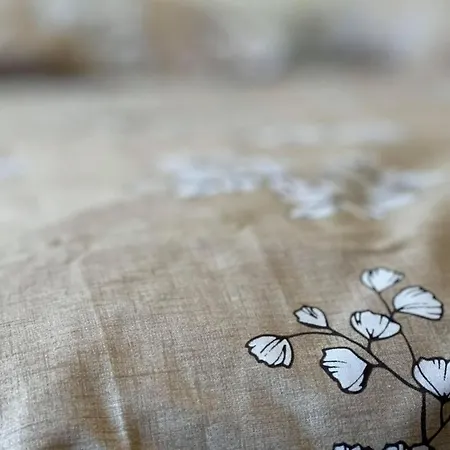 Terre ゲストハウス Droiturier