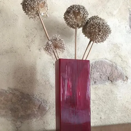 ゲストハウス Terre Droiturier